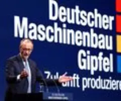Merz sagt Industrie Bürokratieabbau zu