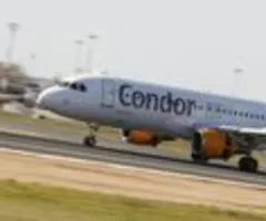 Airline Condor will bei guter Nachfrage Gewinn steigern