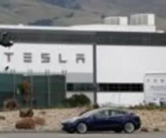 Tesla stoppt Fertigung in Grünheide wegen Konflikt in Rotem Meer