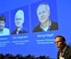 Medizin-Nobelpreis geht an zwei Deutsche und einen US-Forscher