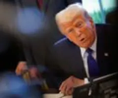Insider: Trump engt Spielraum für Musk nach Kritik ein