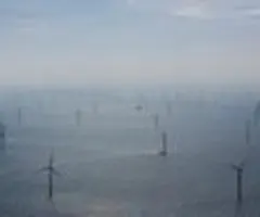 Uniper und Fortum treiben Projekt für Windparks voran