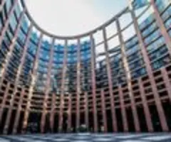 ID-Fraktion im Europäischen Parlament schließt AfD aus