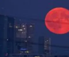 Insolvenzen auf höchstem Stand seit 2014 - Alle 20 Minuten eine Pleite