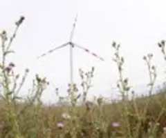 IEA: Österreich muss Windkraftausbau beschleunigen