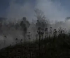 Kamerun: Russland bestätigt Tod von 16 Kamerunern im Ukraine-Krieg