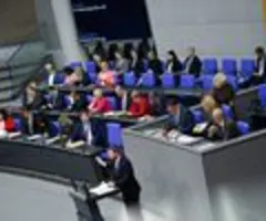 AfD kritisiert hohe Schulden und Aushöhlung von Budgetrecht