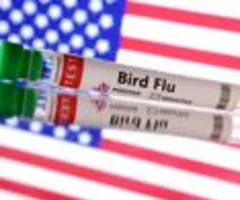 Mutationen bei Vogelgrippe-Fall in den USA entdeckt