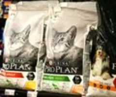 Nestle-Chef: Katzenfutter-Sparte profitiert vom Trend zu Haustieren statt Babys