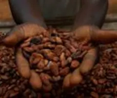 Ghana will Kakao-Bauern mehr zahlen und damit auch Schmuggel eindämmen