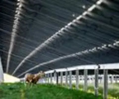 Schwache Windverhältnisse drücken EnBW-Gewinn