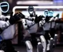 Bitkom: Viele Deutsche würden 5000 Euro für Roboter als Haushaltshilfe zahlen
