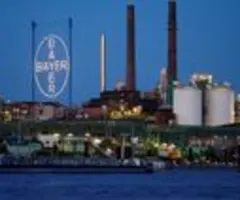 Bayer baut bei sinkenden Gewinnen Tausende von Stellen ab