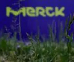 Merck will Pharma-Pipeline mit Einlizenzierungen und Zukäufen stärken