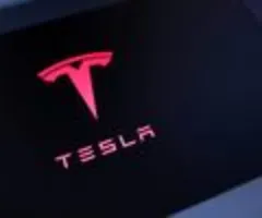 Tesla verbucht dank Steuergutschrift Rekordumsatz