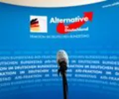 AfD schließt Spitzenkandidat Krah aus EU-Delegation aus