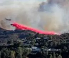 Münchener Rück: Waldbrände prägen Naturkatastrophen-Bilanz