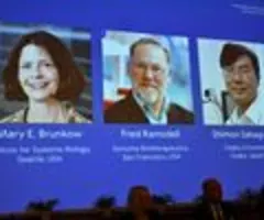 Immunforscher-Trio erhält Nobelpreis für Medizin