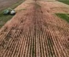 Deutsche Bauern fahren wegen Hitze deutlich weniger Ernte ein