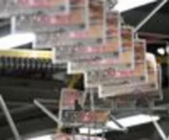 "Bild"-Chefin: Schreiben schwarze Zahlen trotz Print-Rückgang - digital im Plus