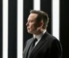 Musk-Breitseite gegen Twitter-Vorstand - "Werde Gehalt auf Null Dollar setzen"