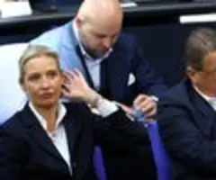 AfD: Stehen zweitem Kanzler-Wahlgang am Mittwoch nicht im Weg