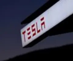 Tesla-Chef Musk verspricht Robotaxis ab diesem Jahr - Gewinn fällt