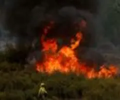 Spanien bittet europäische Partner um Hilfe bei Waldbränden