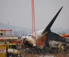 Insider: Hinweise auf Vogelschlag bei Flugzeugunglück in Südkorea verdichten sich