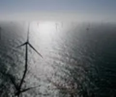 Verbände - Offshore-Windbranche muss beim Ausbau zulegen