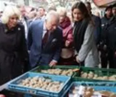 Agar-Produkte kosten weniger - Kartoffeln 64 Prozent billiger