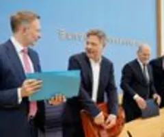 SPD-Fraktionschef warnt Lindner und Habeck vor Streit über Intel-Zuschüsse