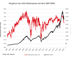 AAII-Aktienquote US-Privatanleger - Cashquoten: Höchster Stand seit 20 Jahren