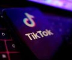 TikTok-Chef wehrt sich gegen Kritik im US-Kongress