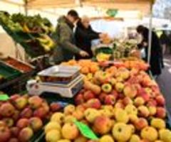 Lieferengpässe plagen Lebensmittelhandel - "Lücken im Regal"