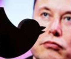 "Der Vogel ist befreit" - Musk übernimmt Macht bei Twitter