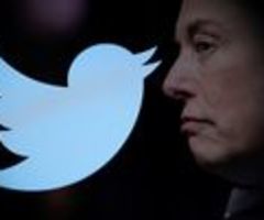 EU-Kommissar zu Musk - Twitter muss Digital-Vorgaben erfüllen