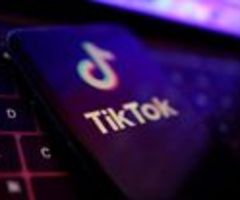TikTok droht wegen "französischer Narbe" Ärger in Italien