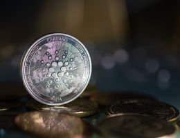 Cardano-Rekordhoch: Alonzo katapultiert ADA-Kurs