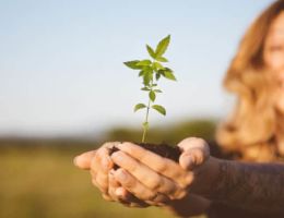 1 ETF und sonst nichts: In diesem Sektor ist passives Investieren Pflicht