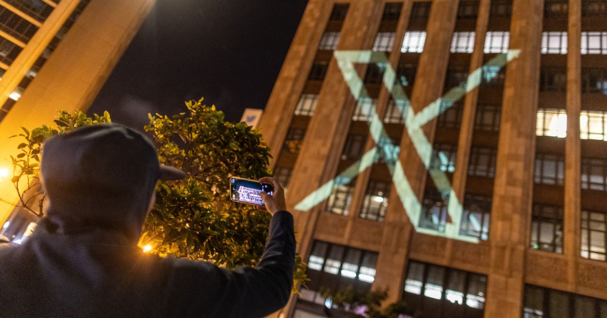 Hundekörpermodell Pudel - Für Tierpflege-Übungen!