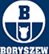 Boryszew SA