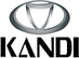 Kandi Technologies Group