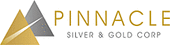 Pinnacle Silver and Gold