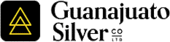 Guanajuato Silver
