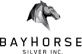 Bayhorse Silver