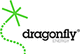 Dragonfly Energy Holdings