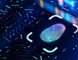 Palantir -72 % statt 100x und was jetzt dennoch für die Aktie spricht