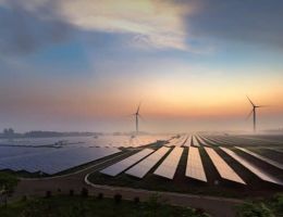 Erneuerbare Energien: 2 Aktien mit Top-Gewinnmargen