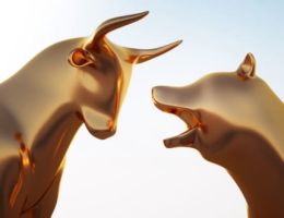Palantir Technologies-Aktie: Warum sie 24,76 % einbricht